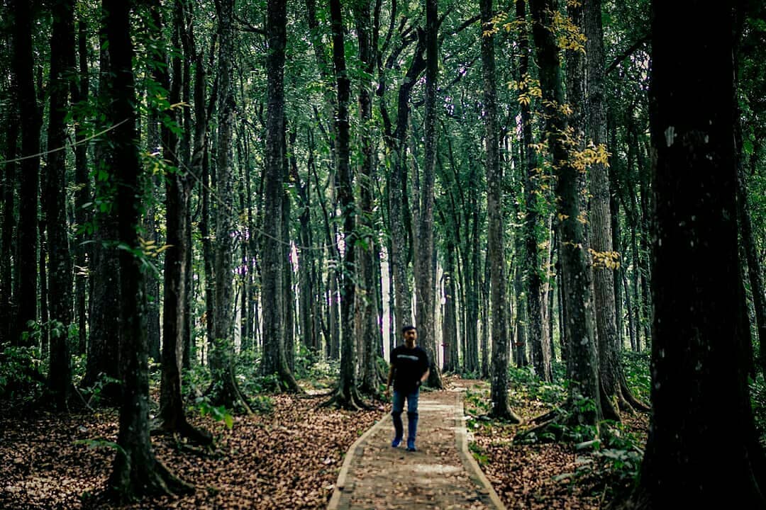 30 Tempat Wisata di Madura Yang Wajib Dikunjungi 4