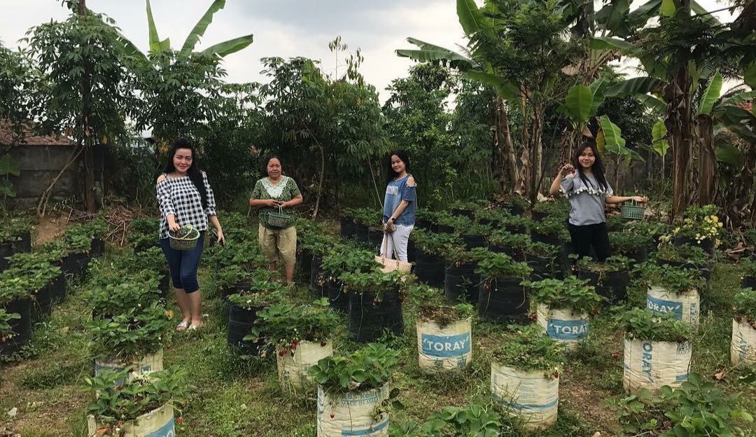 30 Tempat Wisata di Sukabumi Yang Murah 5 30 Tempat Wisata di Sukabumi Yang Murah 5