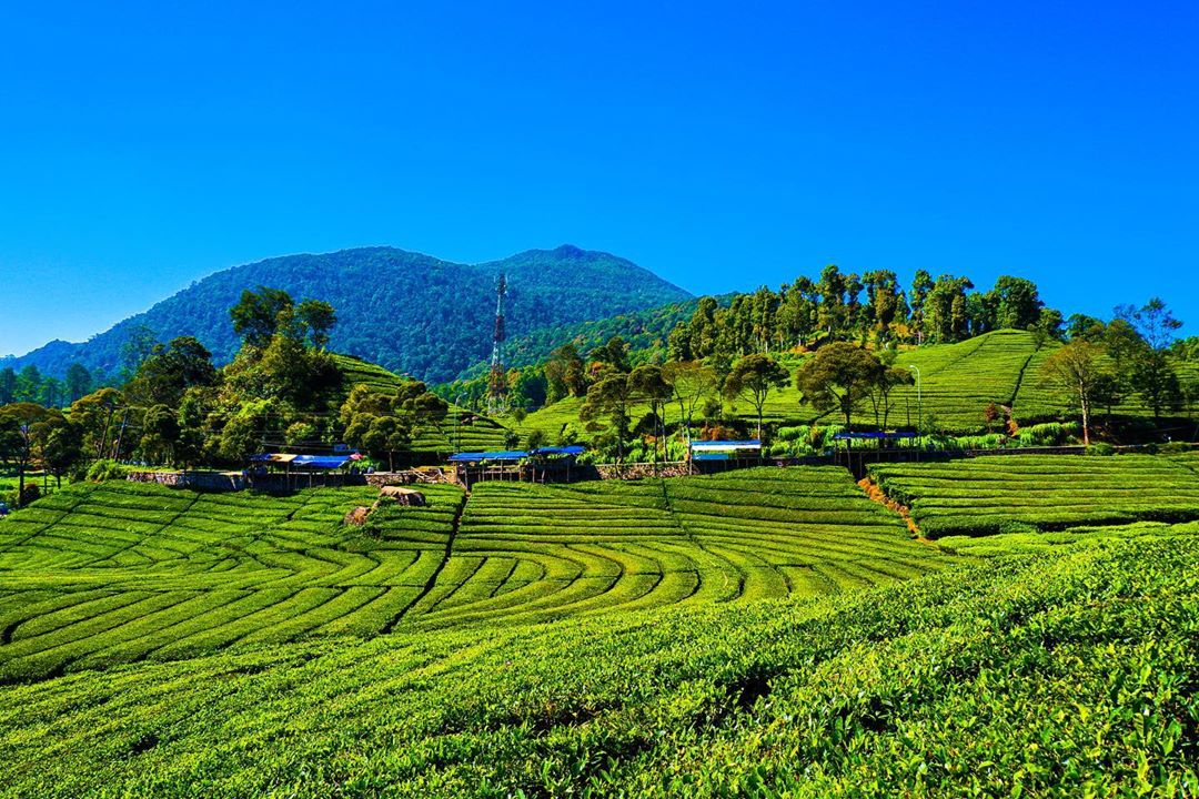 35 Tempat Wisata di Cianjur dan Harga Tiket Masuk Murah Yang Baru, Simak Rekomendasi Berikut 8