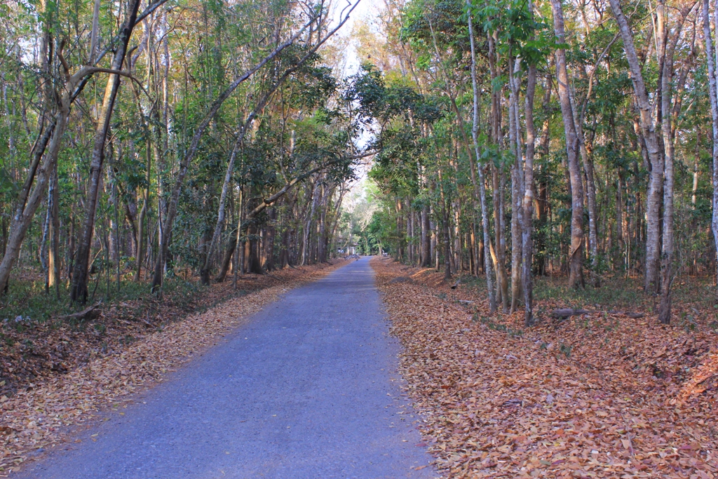 40 Objek Wisata di Banyuwangi, Sudah ke Sini Belum? 10 40 Objek Wisata di Banyuwangi, Sudah ke Sini Belum? 10