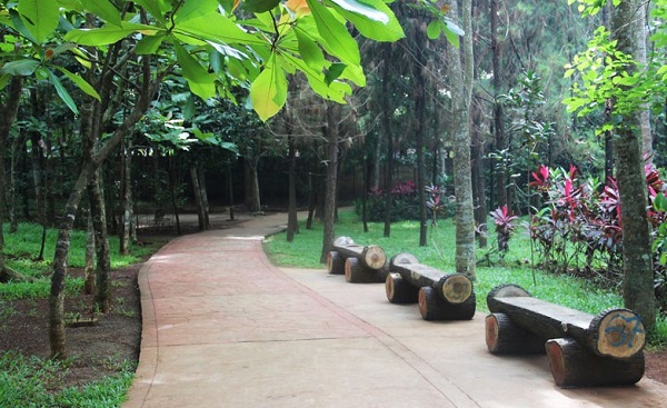 30 Daftar Tempat Wisata Instagramable di Bekasi Yang Sudah Dibuka dan Lagi Hits 11