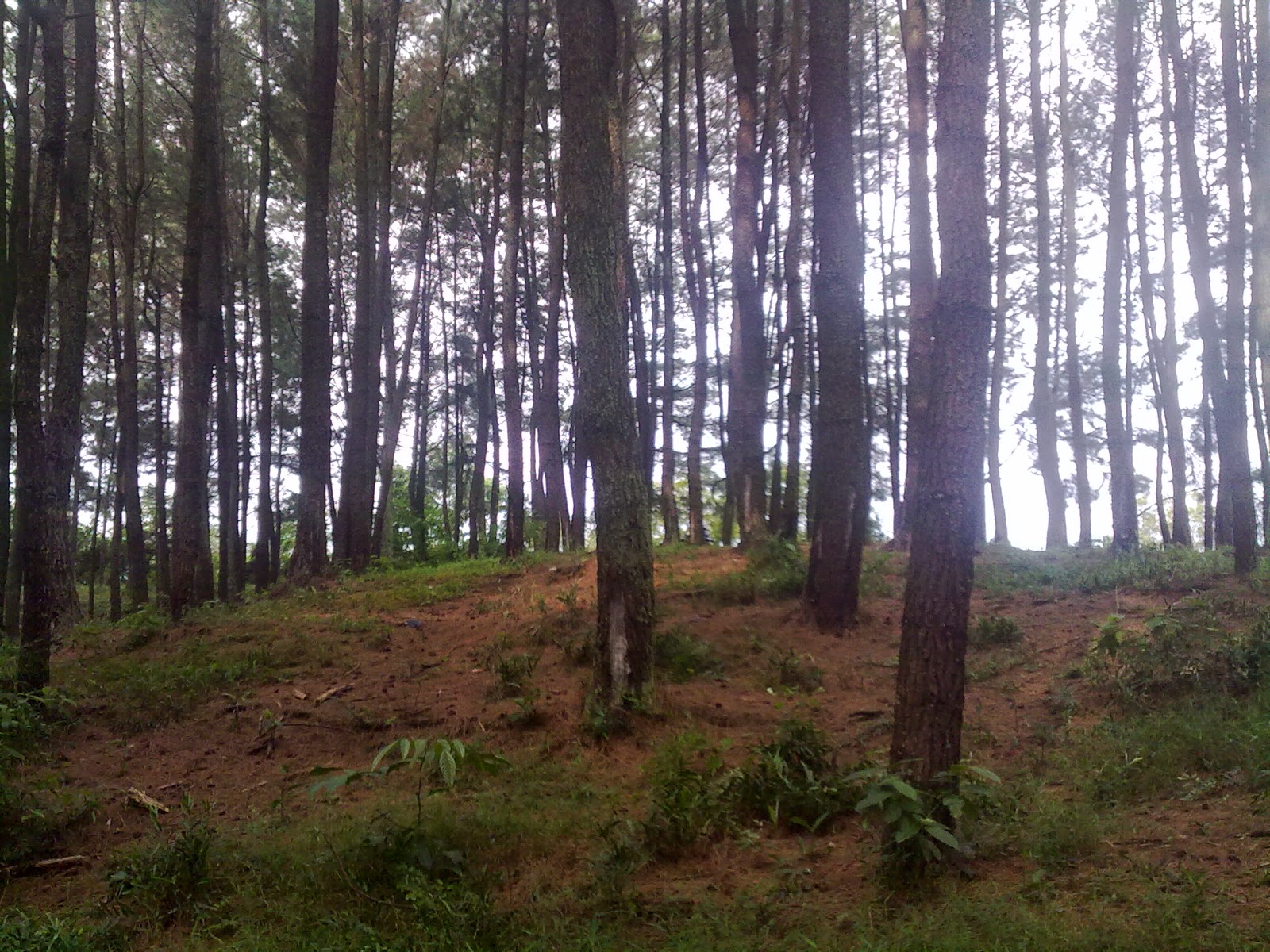 25 Tempat Wisata di Jepara Yang Terkenal Bagus Untuk Keluarga, Nomer 15 Lagi Hits 25