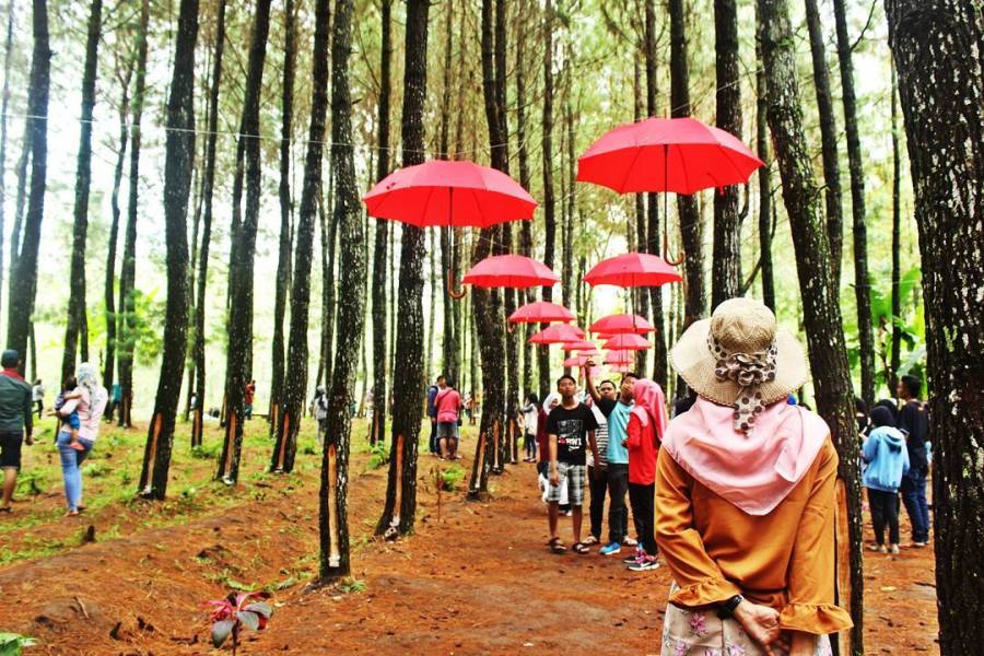 40 Objek Wisata di Banyuwangi, Sudah ke Sini Belum? 12 40 Objek Wisata di Banyuwangi, Sudah ke Sini Belum? 12