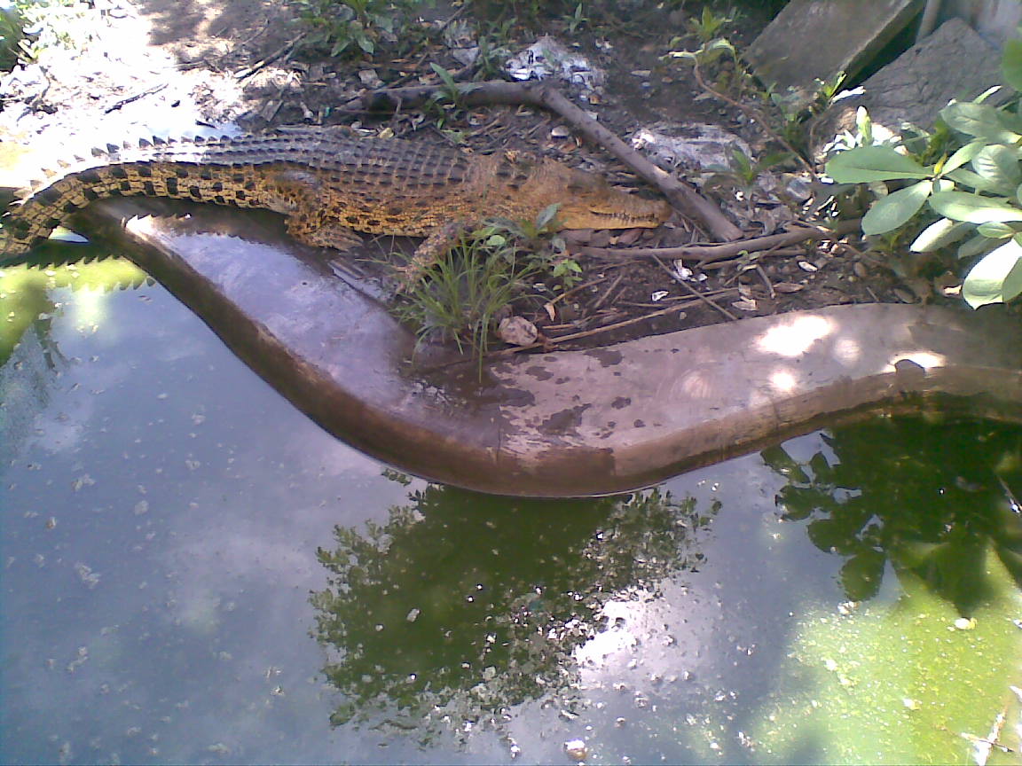 40 Objek Wisata di Banyuwangi, Sudah ke Sini Belum? 18 40 Objek Wisata di Banyuwangi, Sudah ke Sini Belum? 18