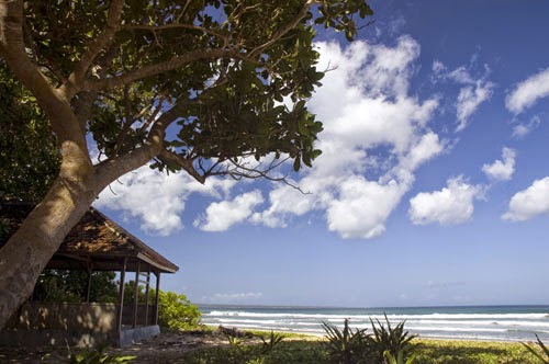 40 Objek Wisata di Banyuwangi, Sudah ke Sini Belum? 33 40 Objek Wisata di Banyuwangi, Sudah ke Sini Belum? 33