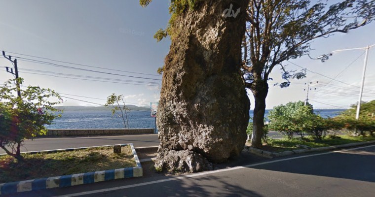 40 Objek Wisata di Banyuwangi, Sudah ke Sini Belum? 2 40 Objek Wisata di Banyuwangi, Sudah ke Sini Belum? 2