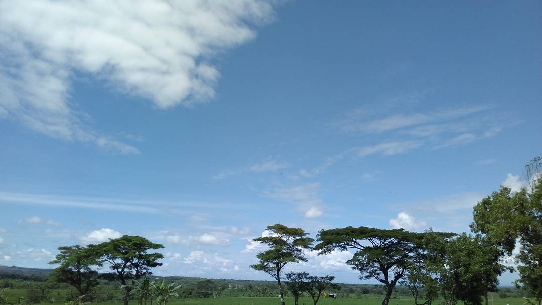 20 Tempat Wisata di Ngawi Terdekat Yang Lagi Hits dan Favorit, Simak Destinasi Terbaru Ini 6