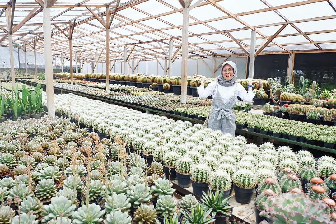 15 Tempat Wisata di Cimahi Yang Murah 10