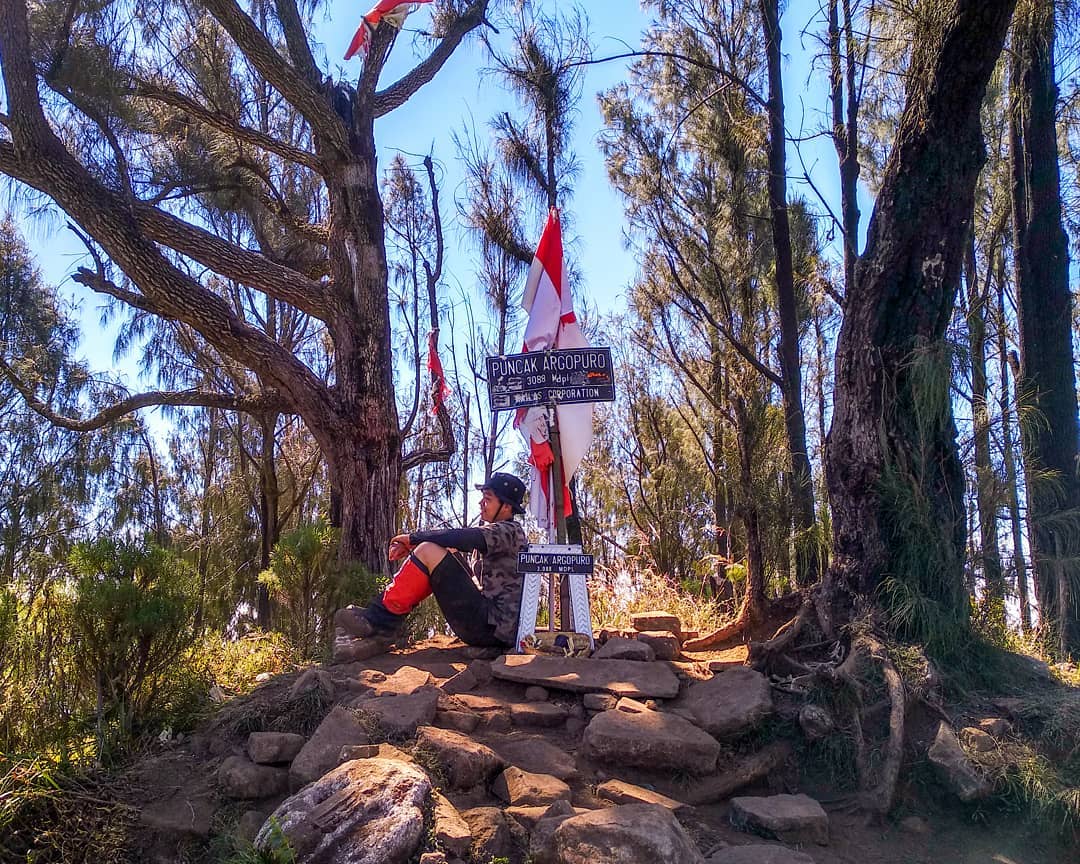 20 Tempat Wisata Terdekat di Rembang Jawa Tengah Yang Banyak Pantai, Simak Objek Terbaru Ini 8 20 Tempat Wisata Terdekat di Rembang Jawa Tengah Yang Banyak Pantai, Simak Objek Terbaru Ini 8