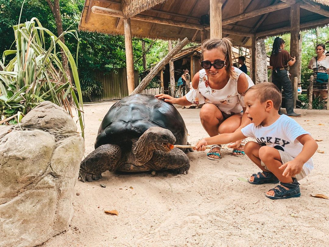 45 Tempat Wisata di Singapore Wajib Dikunjungi dan Harga Tiket Masuk, Ada Yang Gratis 5