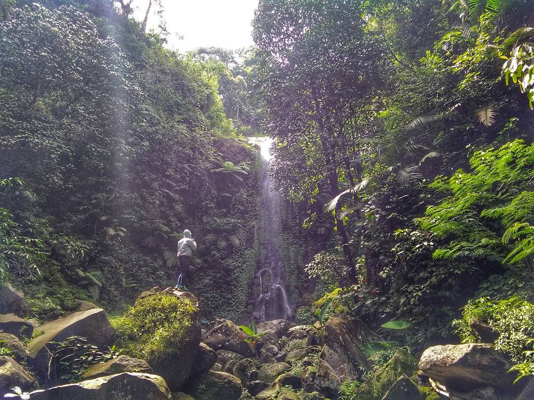 20 Tempat Wisata di Ngawi Terdekat Yang Lagi Hits dan Favorit, Simak Destinasi Terbaru Ini 2