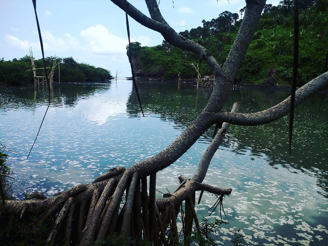 35 Tempat Wisata di Lumajang Yang Menarik 7