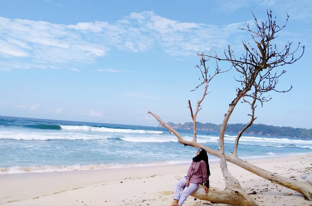 Apakah Sudah Buka Atau Tutup Wisata Pantai Sendiki Malang dan Bisakah Dilewati Mobil? 6