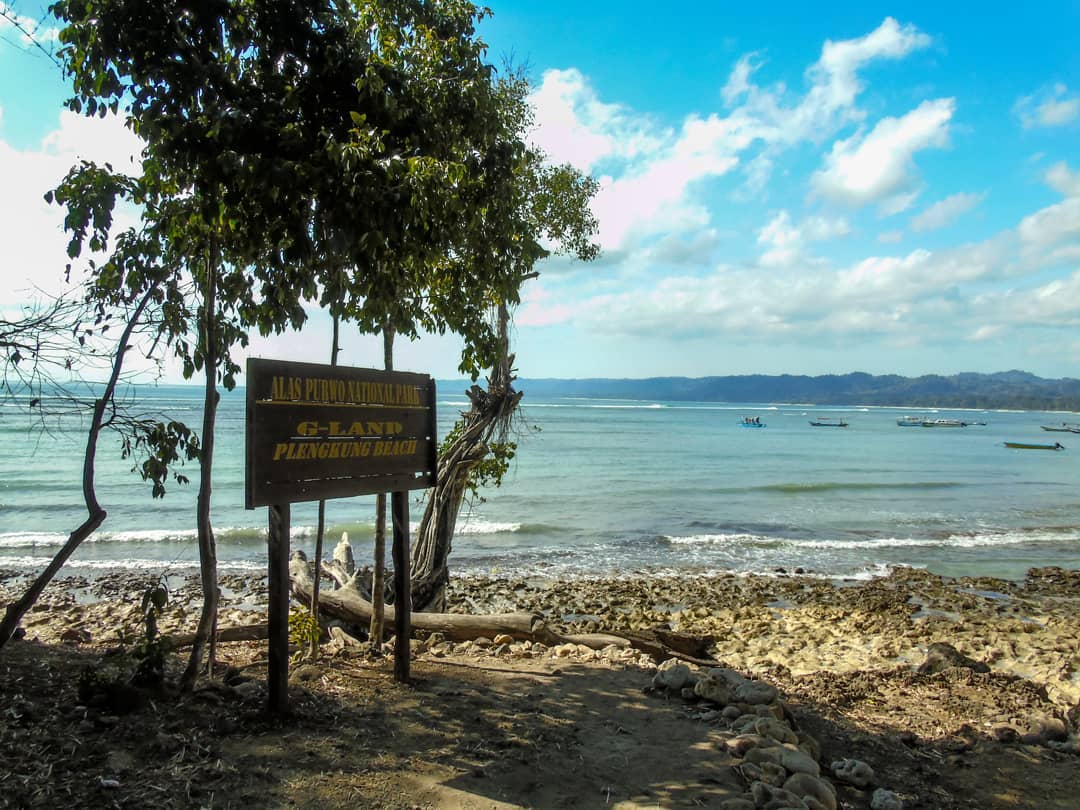 Lokasi Wisata Pantai Plengkung Terletak di Kecamatan Tegaldlimo Kabupaten Banyuwangi Jawa Timur 5