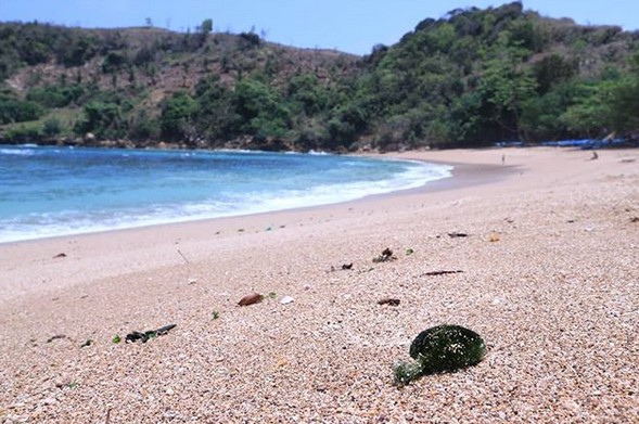 Pantai Pangi di Blitar Jawa Timur 7