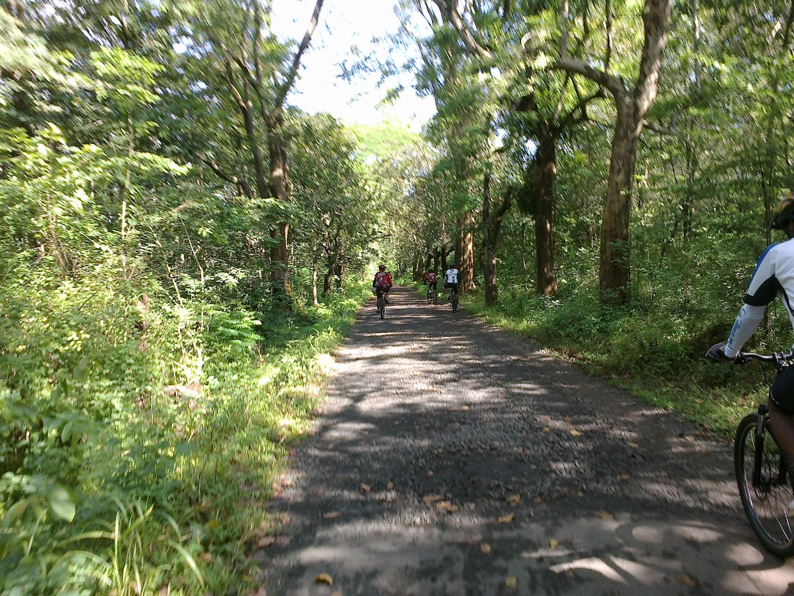 25 Tempat Wisata di Wonogiri Yang Wajib Dikunjungi Tahun ini 9