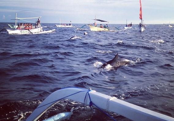 Mau Melihat Lumba Lumba? Ke Pantai Lovina Bali Saja 5
