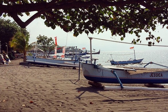 Mau Melihat Lumba Lumba? Ke Pantai Lovina Bali Saja 6