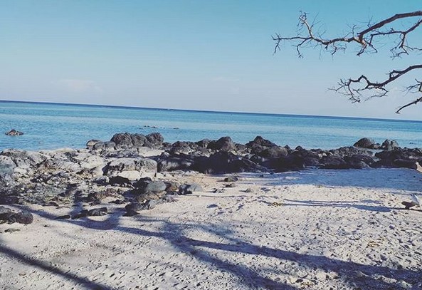 Pantai Bama di Taman Nasional Baluran Situbondo 1