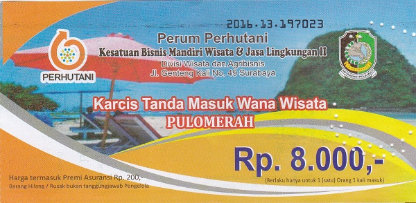 Surga Pecinta Surfing di Pantai Pulau Merah 11