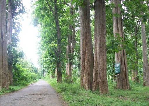 25 Tempat Wisata di Wonogiri Yang Wajib Dikunjungi Tahun ini 10