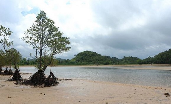 Pantai Clungup di Malang 9 Pantai Clungup di Malang 9