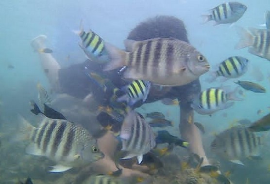 Pantai Carocok Padang Paling Indah di Sumbar? Benarkah? 8