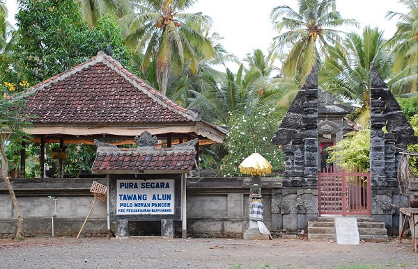 Surga Pecinta Surfing di Pantai Pulau Merah 8