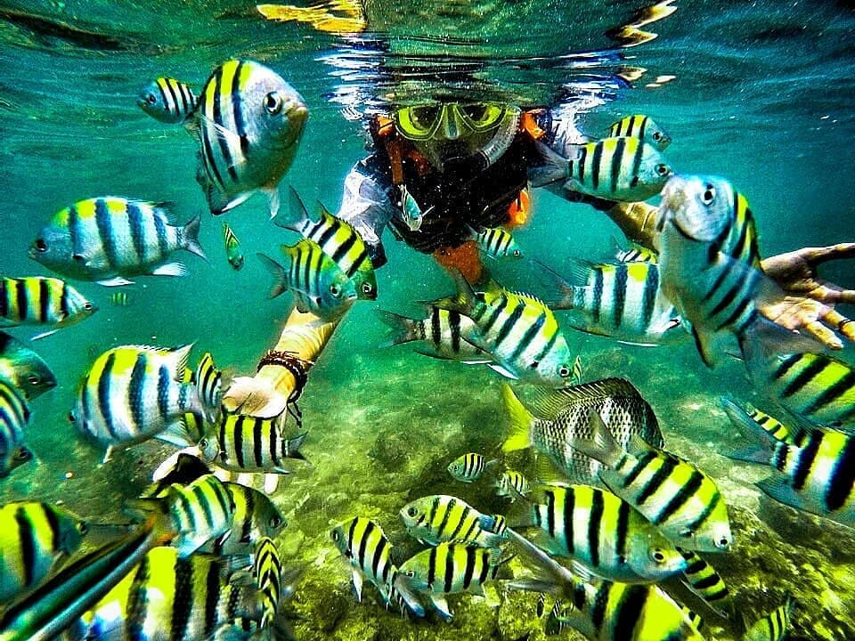 Berapa Biaya Snorkeling di Pantai Nglambor Jogja? 9