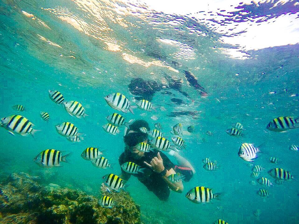 Berapa Biaya Snorkeling di Pantai Nglambor Jogja? 2