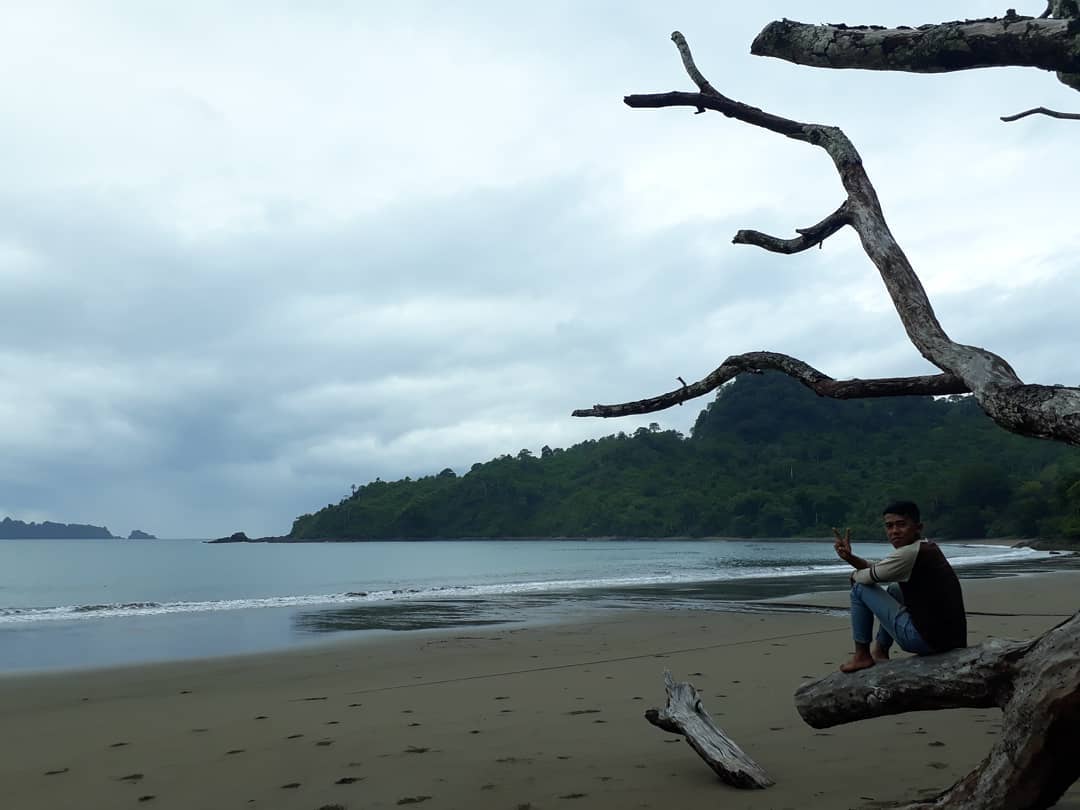 Dimana Jalan Menuju Lokasi Wisata Pantai Bandealit di Jember dan Berapa Harga Tiket Masuknya? 8