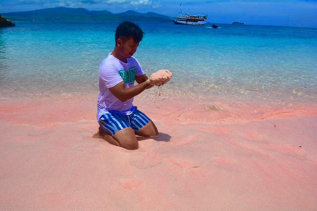 Cara Menuju Lokasi Pantai Pink Lombok Timur 8