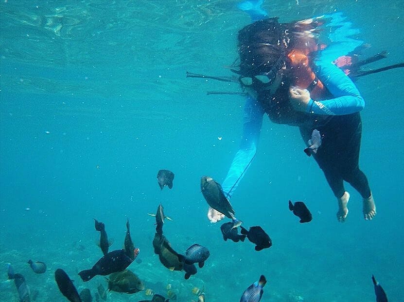 Snorkeling Ke Pantai Amed Yang Terletak di Karangasem Bali dan Berapa Harga Tiket Masuknya? 4 Snorkeling Ke Pantai Amed Yang Terletak di Karangasem Bali dan Berapa Harga Tiket Masuknya? 4