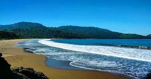Dimana Jalan Menuju Lokasi Wisata Pantai Bandealit di Jember dan Berapa Harga Tiket Masuknya? 5