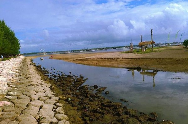 Keindahan Karang di Pantai Sanur Bali 7 Keindahan Karang di Pantai Sanur Bali 7