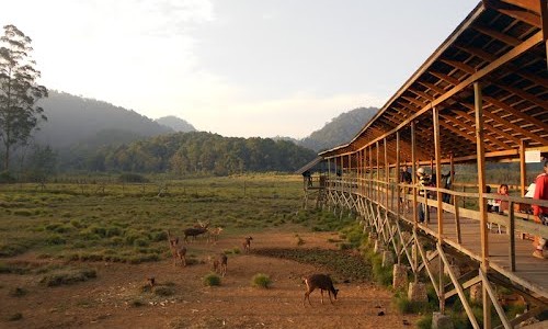 Selain Berkemah, Apa Aja Sih Yang Menarik di Ranca Upas? Lihat 10 Potret Ini 8 Selain Berkemah, Apa Aja Sih Yang Menarik di Ranca Upas? Lihat 10 Potret Ini 7