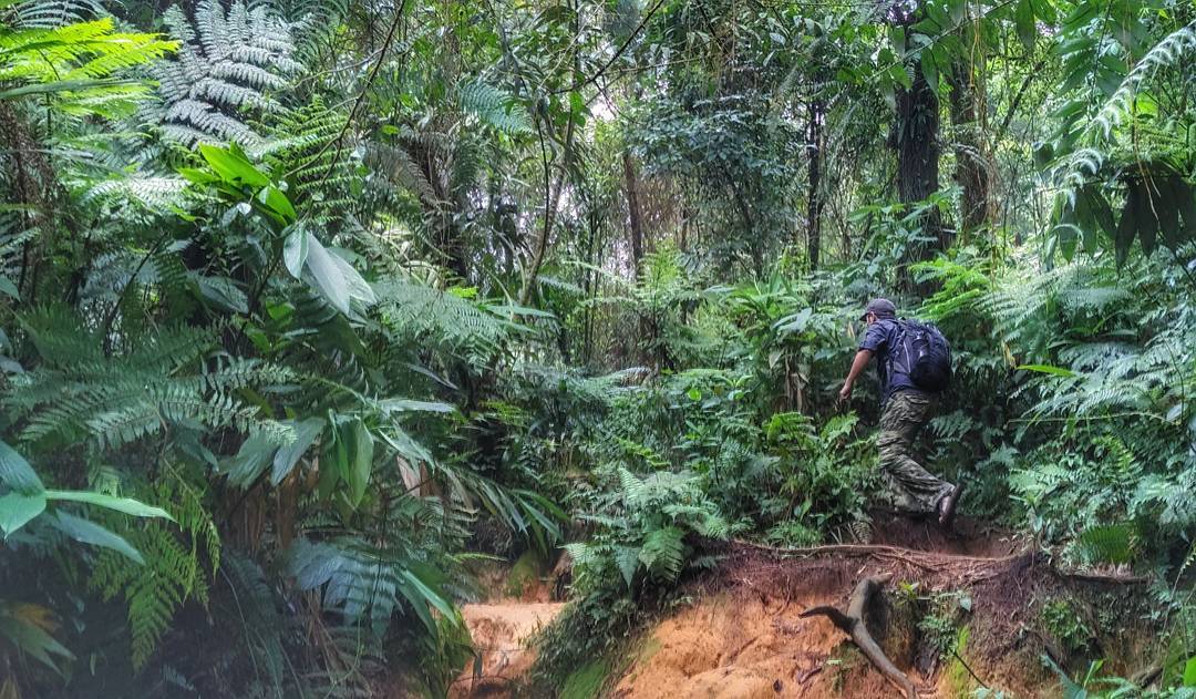 Wisata Gunung Salak Bogor 5 Wisata Gunung Salak Bogor 5