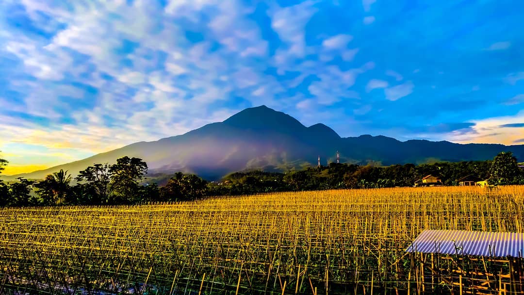 Wisata Gunung Salak Bogor 1 Wisata Gunung Salak Bogor 1