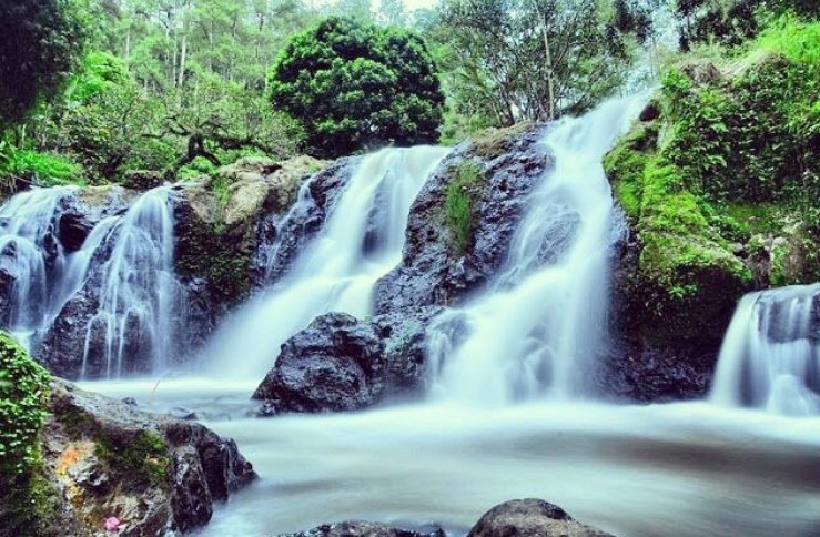 Keindahan Curug Maribaya, Wisata Alam Cantik di Bandung 1 Curug maribaya kabupaten bandung jawa barat 40391 queen quest quresi omas taman wisata waterfall wedding website wulan wonosono wonogiri review rute raja rasulullah radio tiket masuk tempat terjun tutup toyota togel today yogyakarta yoyo yang bagus yellow yerrest yogurt usul indonesia desa cibodas jl peta padang putus puncak pura pintar portugal pontianak lembang lodge alamat lokasi lagu legenda lucu luka lirik liban keluarga kecil kuning kuningan king kidul kirana jalan menuju ke jam buka jerawat juli juni jiban jiwa jodoh johor jogja harga hewan hujan husband hutang hijab hidup hot hotel gambar gedung gede guntur gunting gunung gimana golongan foto facebook fares feres futbol full finance di ditutup dunia duka duduk sejarah sakit surabaya subang singkat solo song akses ajaran adalah angkot map maps mitos misteri murah muda natural negara net nike niat nikah nova beban belajar biaya bogor video vape vedeo vegetarian vulgar vultures vurul voli ciomas cacing cebu cemburu cuci conjuring code consulting zakat bahasa utara timur air panas pemandian kawasan spring the hutan cigulung berenang