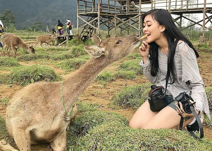Selain Berkemah, Apa Aja Sih Yang Menarik di Ranca Upas? Lihat 10 Potret Ini 1 Ranca upas bandung rusa camp waterboom 2025 dimana mp3 ciwidey camping smart raisa selatan harga wisata penginapan suhu alamat misteri biaya buka bersalin bengkulu bumi perkemahan kebon jeruk resort review trail run race rute reservasi kali kedua adventure ground cai cerita curitiba angker penangkaran villa cottage com wikipedia wira nurmansyah wahana website won word wonogiri world entrance fee eiger tiket tutup sewa tenda tarif tempat taman tentang telepon togel layung yusi yussy hera unik utrecht inggris outbound orienteering prewedding pengalengan pop sunda pemandian kawah putih peta paket paint ball pemandangan puncak pisces lembang lagu lokasi letak legenda lucu lubis lirik lingkungan lingkaran kemah kolam renang cai kampung kaskus catenzo kontak kawasan ketinggian kudus king kiwi kino koordinat jam jawa jember juni juli jiban jitu jogja johor horor hot spring hotel htm hantu hutan hiking glamping gunung gambar geografi giant gitar gold golden foto fasilitas federal full daerah mana deer dingin di danau denah deskripsi download dumai duet sunrise salvador sassari sejarah sidoarjo singapore song adalah arti map maps mitos masuk menarik menari modern murah musa municipais navigasi news nutrition ninja normal water boom vila voice voucher xenoblade air panas obyek perhutani