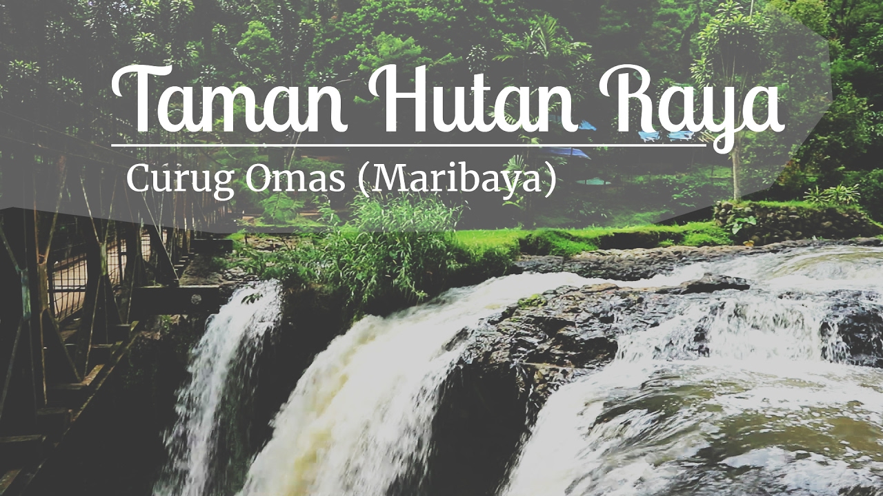 Keindahan Curug Maribaya, Wisata Alam Cantik di Bandung 10 Keindahan Curug Maribaya, Wisata Alam Cantik di Bandung 9