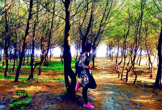 Beberapa Potret Indahnya Pantai Cemara Sewu Bantul Yogyakarta dan Berapa Tiket Masuknya? 1 Beberapa Potret Indahnya Pantai Cemara Sewu Bantul Yogyakarta dan Berapa Tiket Masuknya? 1