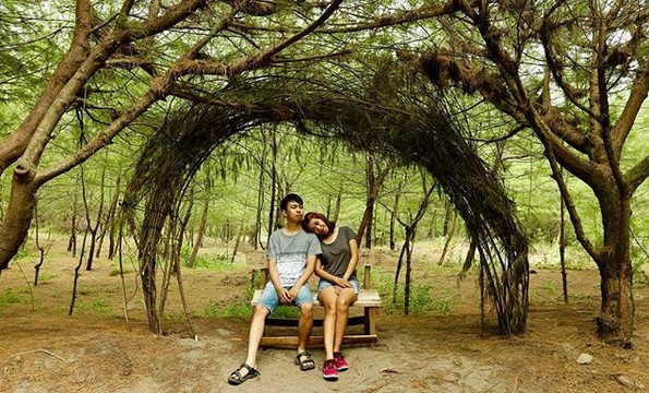 Beberapa Potret Indahnya Pantai Cemara Sewu Bantul Yogyakarta dan Berapa Tiket Masuknya? 4 Beberapa Potret Indahnya Pantai Cemara Sewu Bantul Yogyakarta dan Berapa Tiket Masuknya? 4