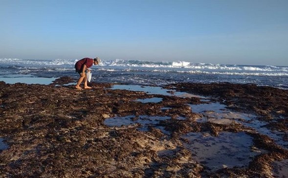 Beginilah Keindahan Pantai Watu Lawang Jogja, Buka Atau Tutup dan Berapa Harga Tiket Masuknya? 2 Beginilah Keindahan Pantai Watu Lawang Jogja, Buka Atau Tutup dan Berapa Harga Tiket Masuknya? 2