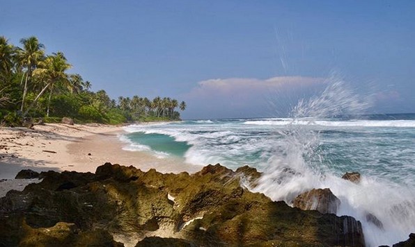 Mau Liburan ke Lampung? Jangan Lupa Lihat Lumba Lumba di Pulau Pisang 6