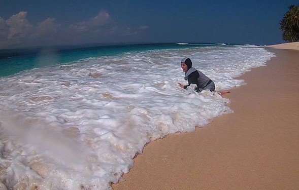Mau Liburan ke Lampung? Jangan Lupa Lihat Lumba Lumba di Pulau Pisang 7