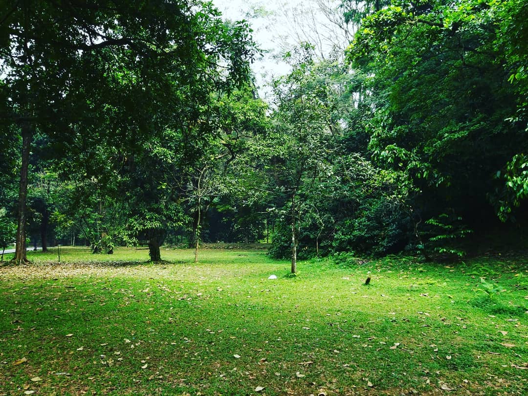 Istana Bogor Dibuka Untuk Umum? 5