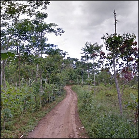 Sendang Geulis Kahuripan, Mata Air Cantik yang Instagramable di Bandung 12 Sendang Geulis Kahuripan, Mata Air Cantik yang Instagramable di Bandung 11