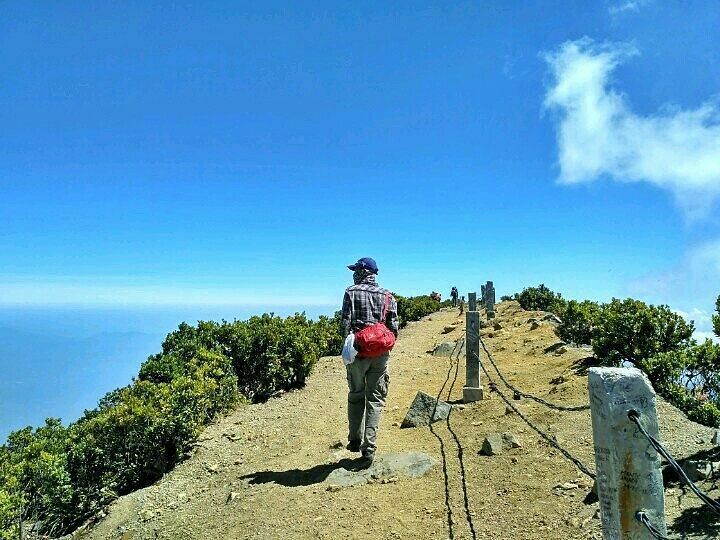 Gunung Gede Pangrango National Park Bogor 8 Gunung Gede Pangrango National Park Bogor 8