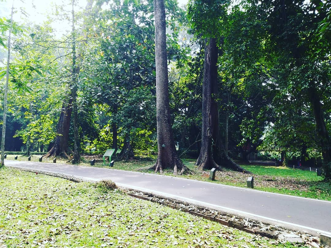 Istana Bogor Dibuka Untuk Umum? 6